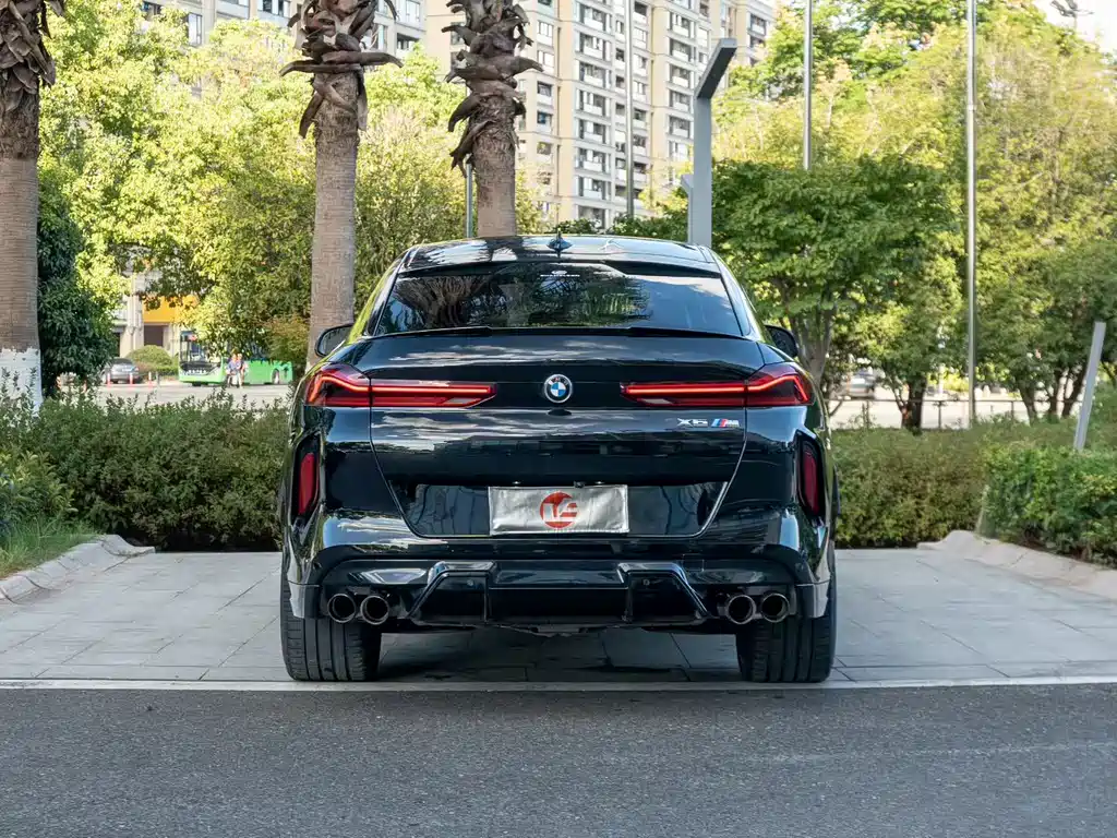 BMW X6 M — миниатюра 5