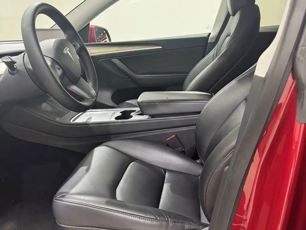 Tesla Model Y — миниатюра 10