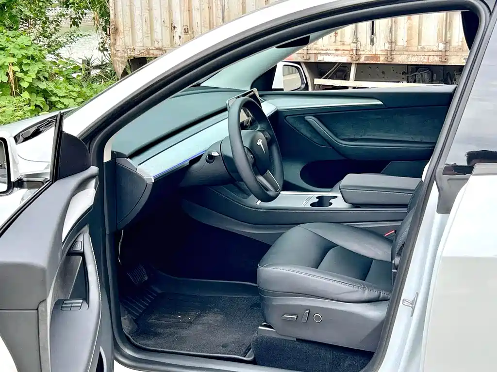 Tesla Model Y — миниатюра 4