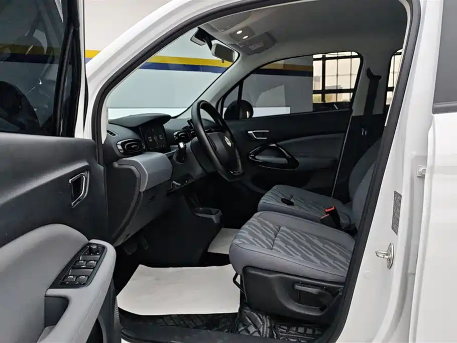 Leapmotor T03 2025 310