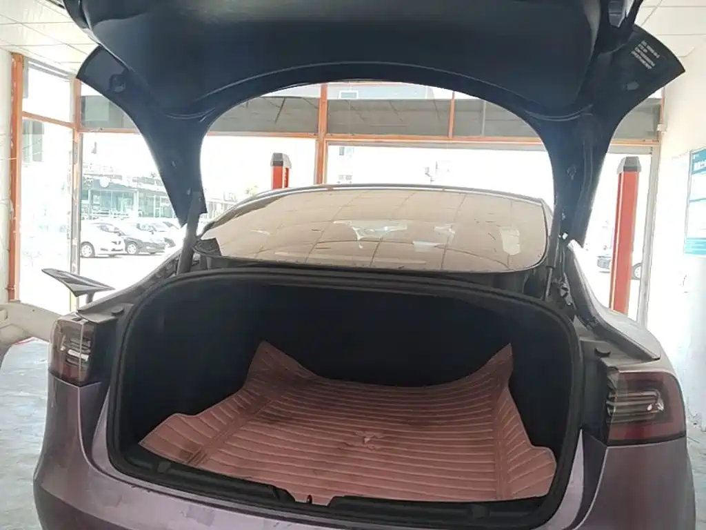 Tesla Model 3 — миниатюра 19