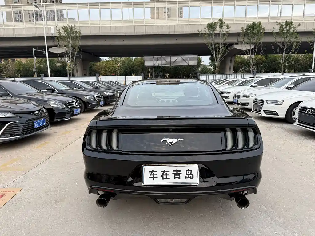 Ford Mustang — миниатюра 10