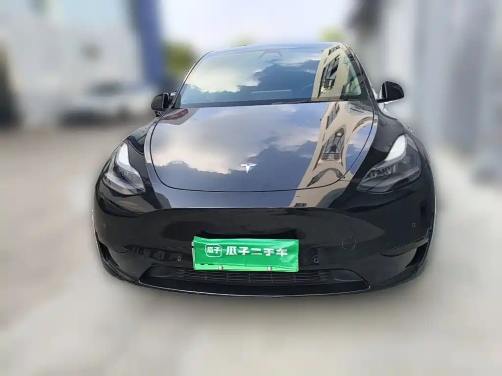 Tesla Model Y — миниатюра 5