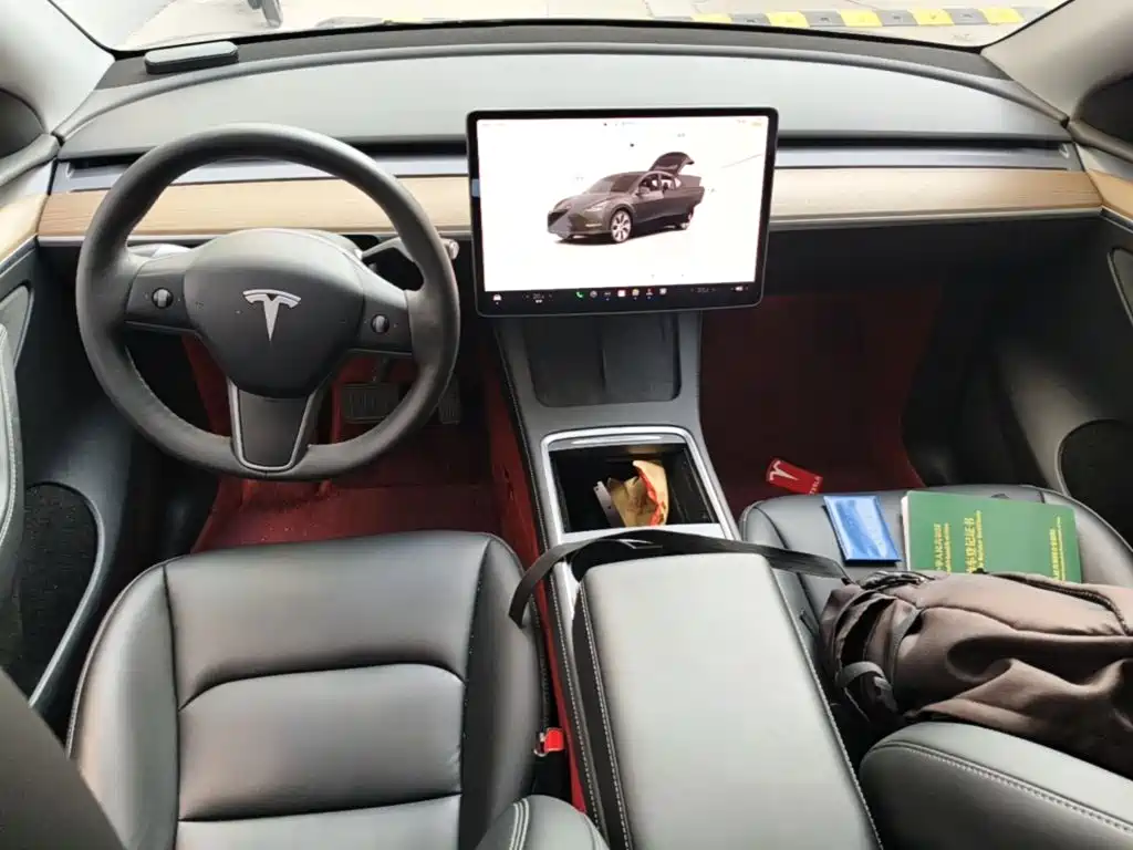 Tesla Model Y — миниатюра 14