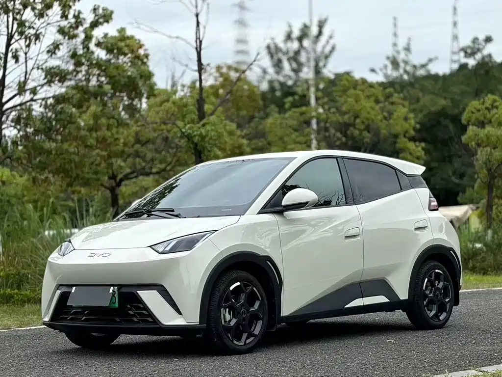 BYD Seagull