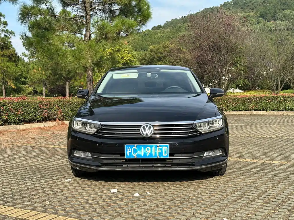 Volkswagen Magotan — миниатюра 2