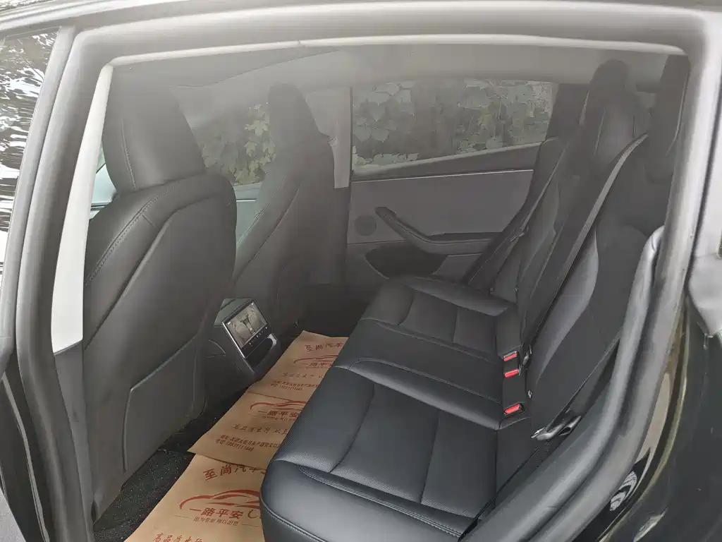 Tesla Model 3 — миниатюра 8