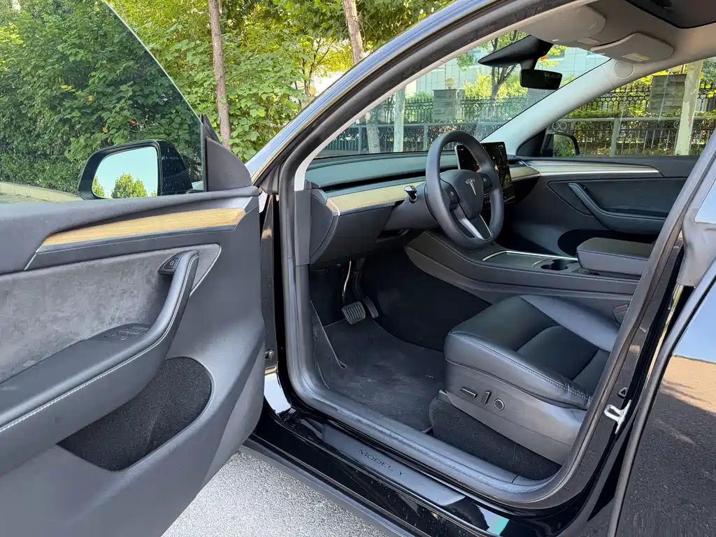 Tesla Model Y — миниатюра 4