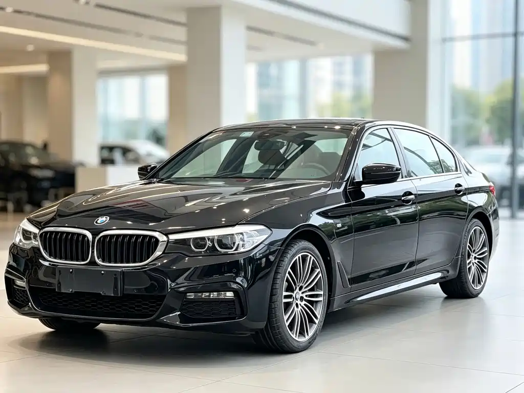 BMW 5 Series — миниатюра 2