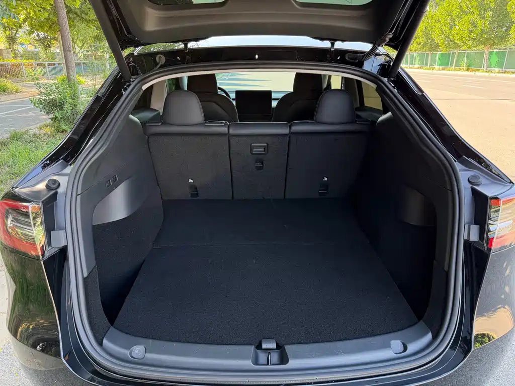 Tesla Model Y — миниатюра 16