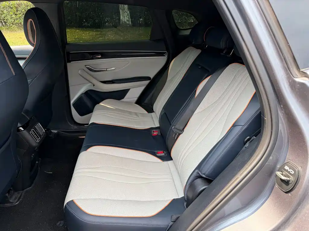 BYD PLUS New Energy — миниатюра 12