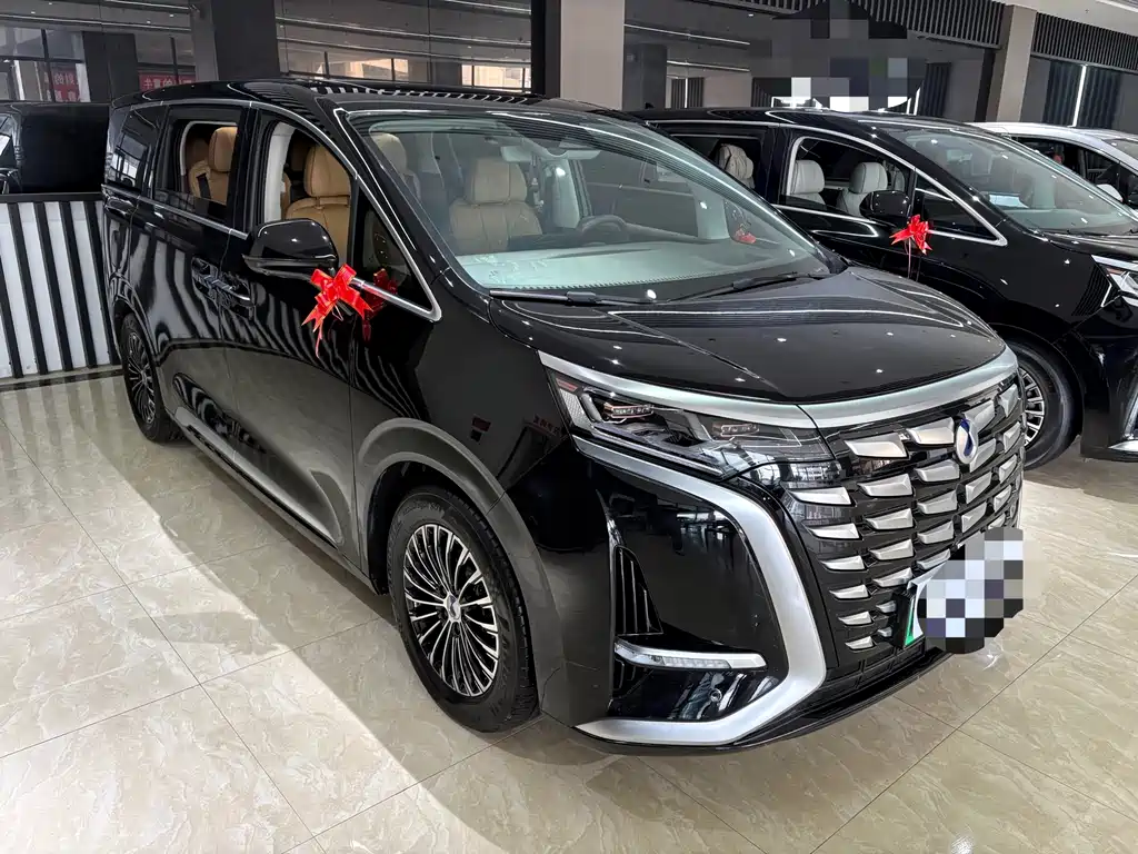Denza Denza D9 — миниатюра 7