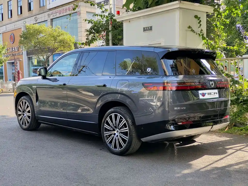 Denza Denza N9 — миниатюра 4