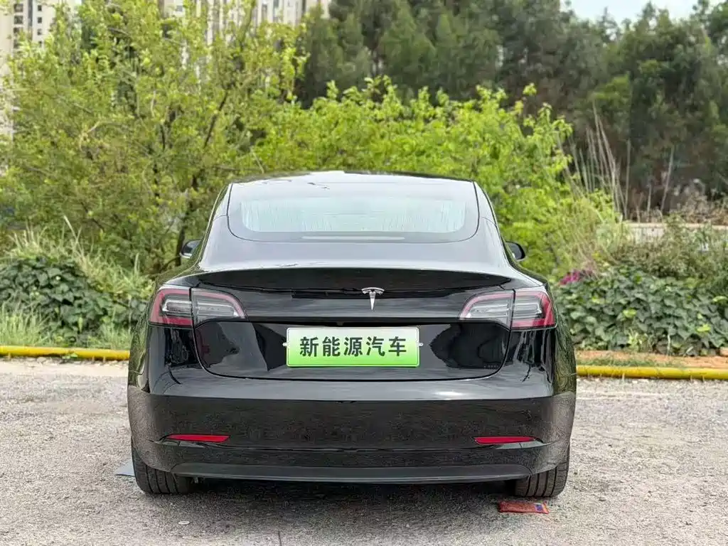 Tesla Model 3 — миниатюра 8