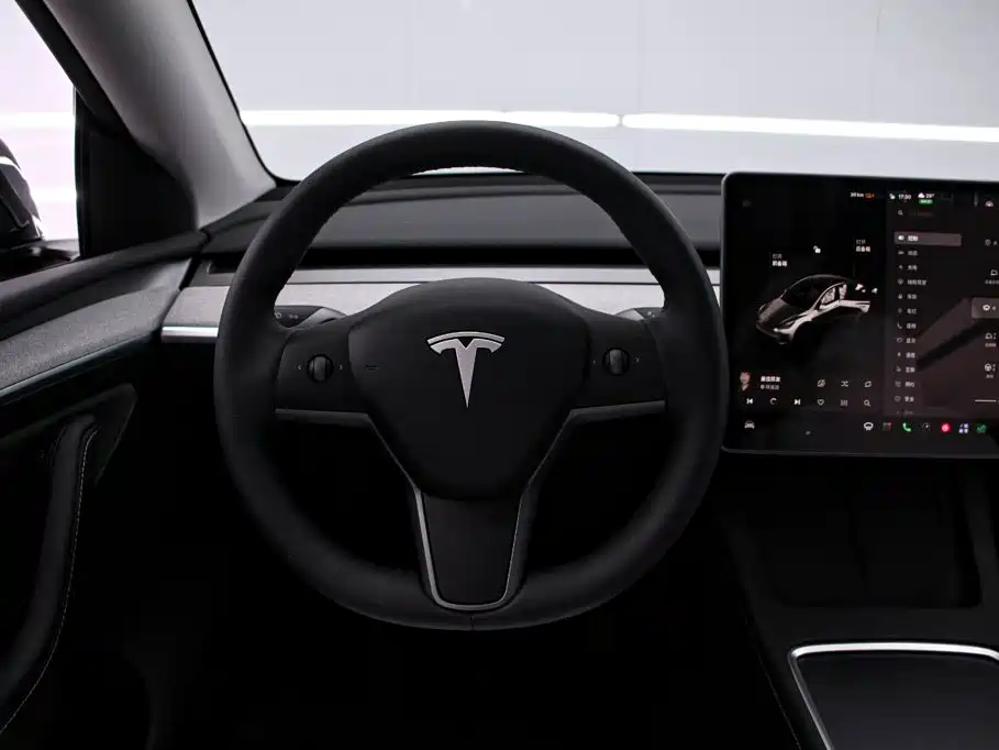Tesla Model Y — миниатюра 6