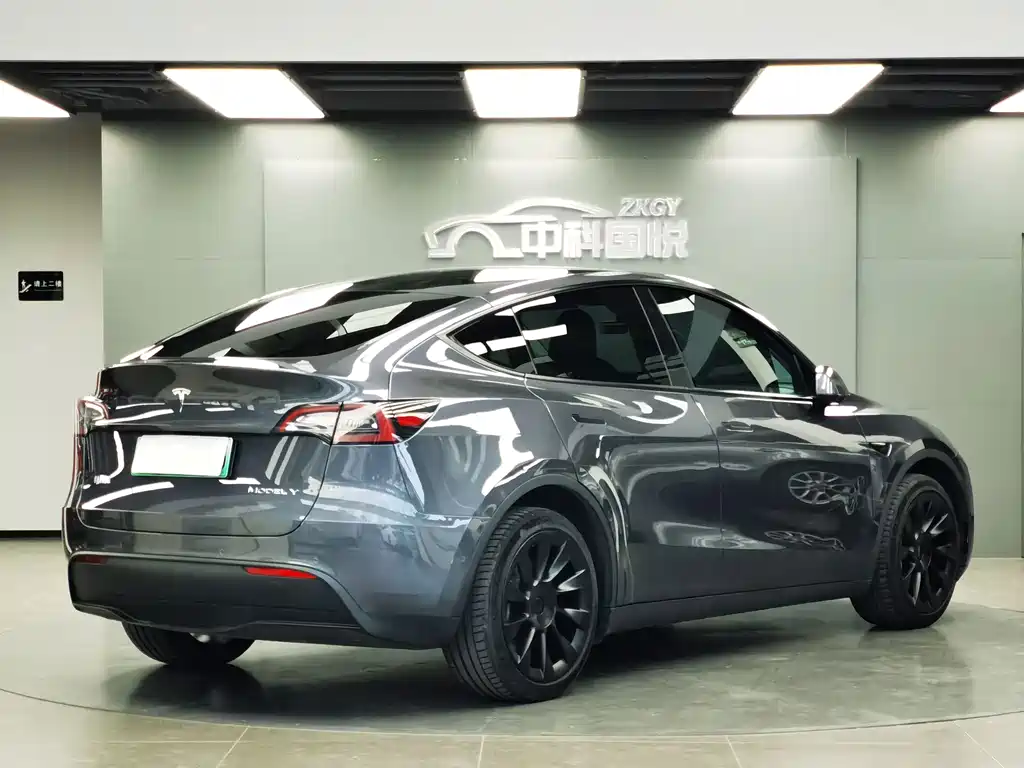Tesla Model Y — миниатюра 3