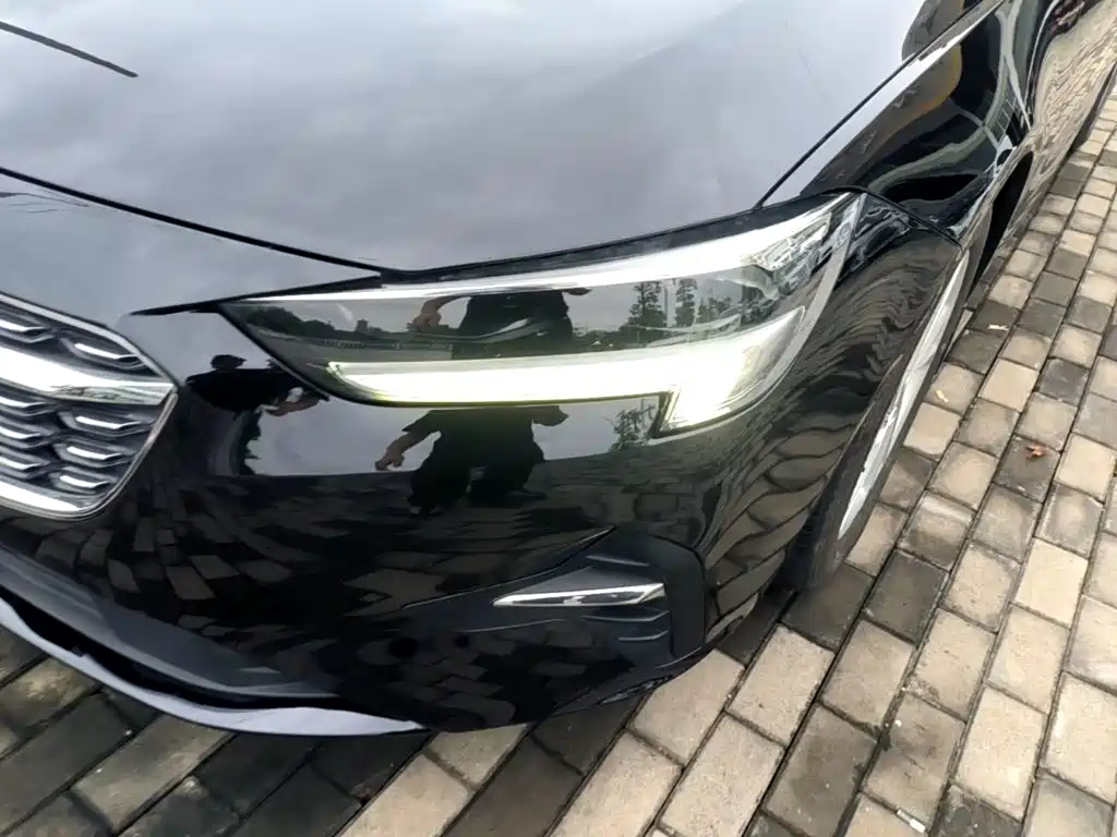 Buick Regal — миниатюра 24