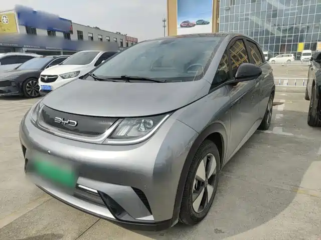 BYD Dolphin