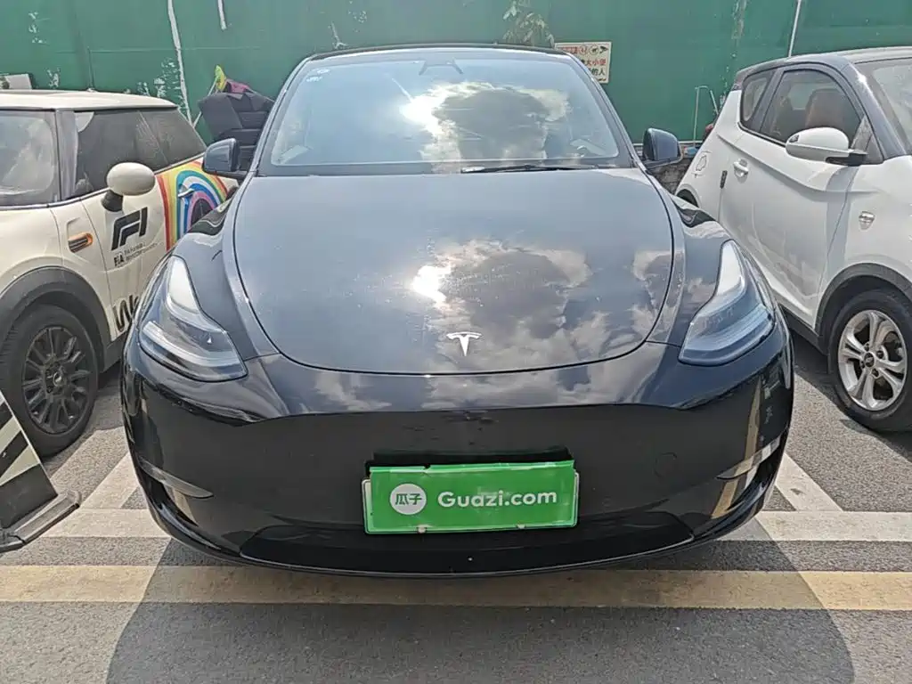 Tesla Model Y — миниатюра 3