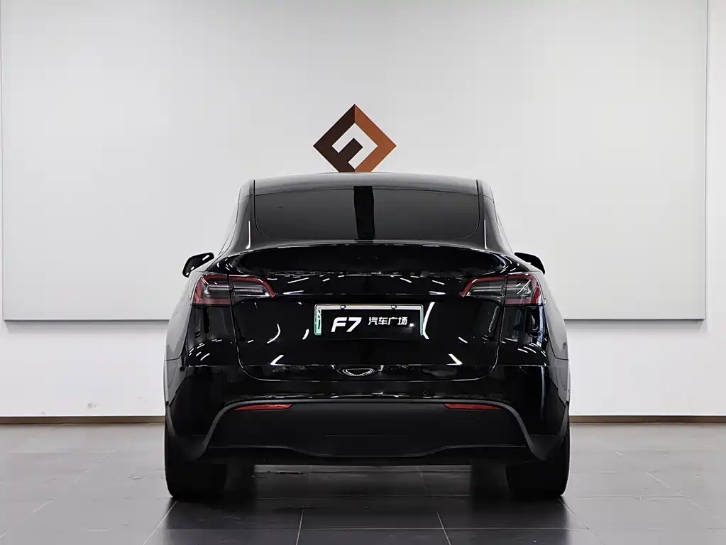Tesla Model Y — миниатюра 5