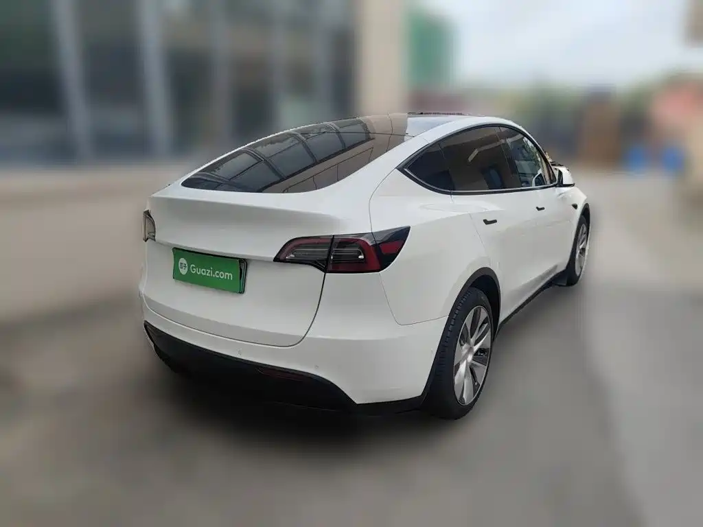 Tesla Model Y — миниатюра 4