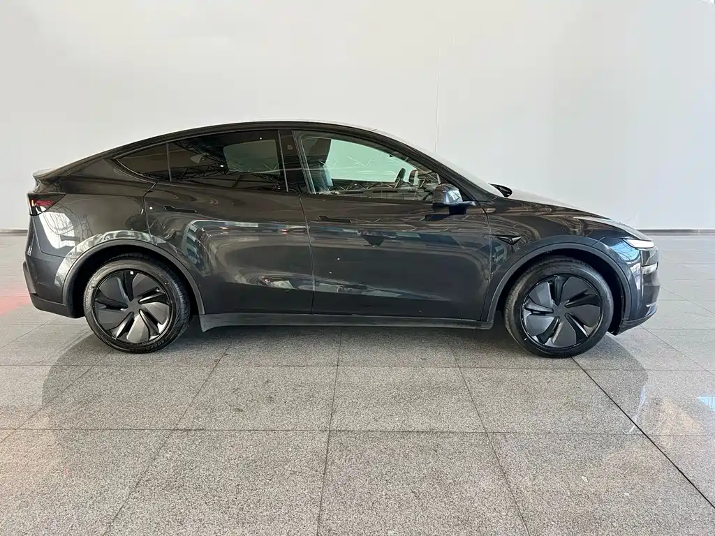 Tesla Model Y — миниатюра 3
