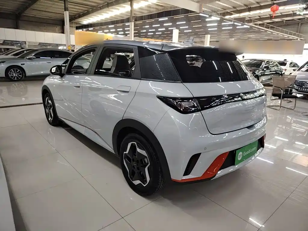 BYD Dolphin — миниатюра 5