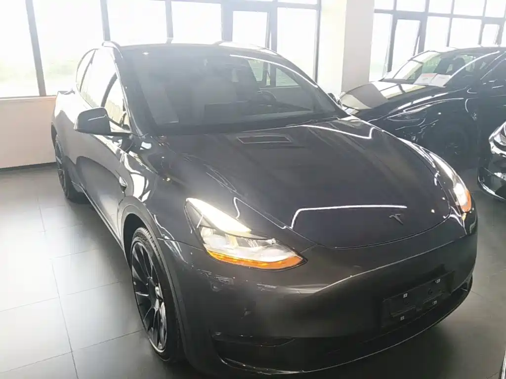 Tesla Model Y — миниатюра 3