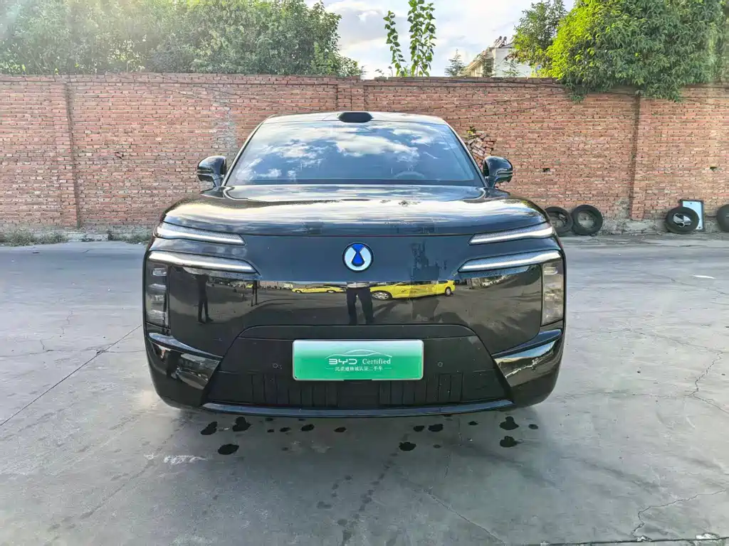 Denza Denza N8L — миниатюра 3