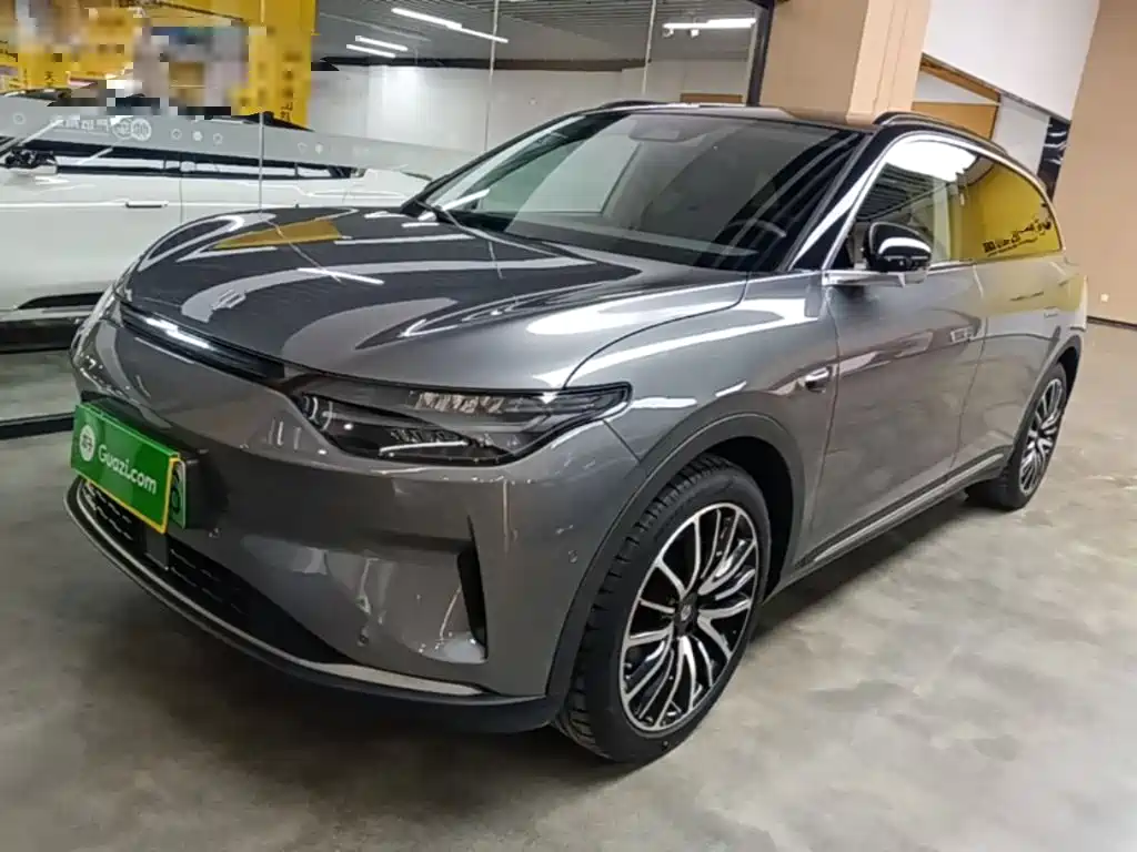 Leapmotor C11 2021 Executive 510