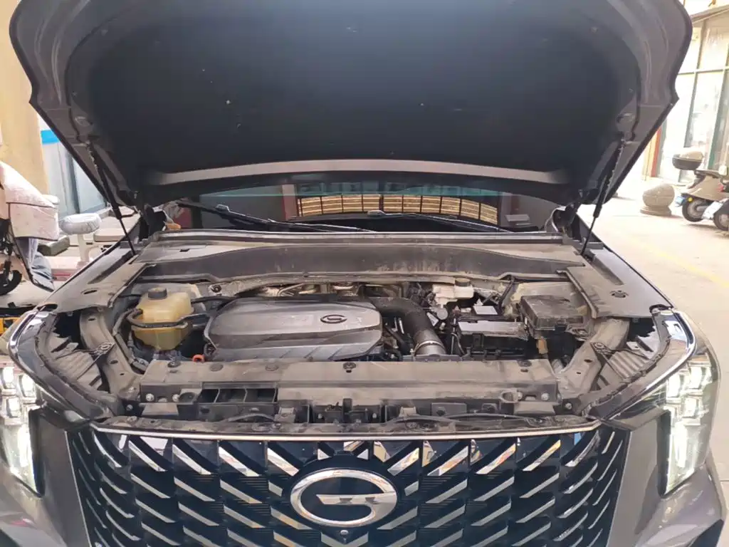 GAC Motor Trumpchi GS8 — миниатюра 20