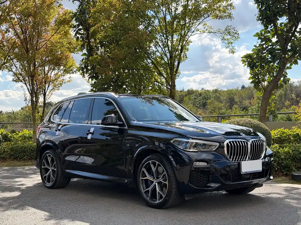 BMW X5 (Import) — миниатюра 3
