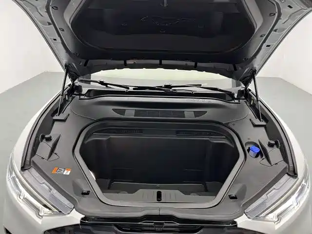 Ford Mustang Mach-E — миниатюра 13