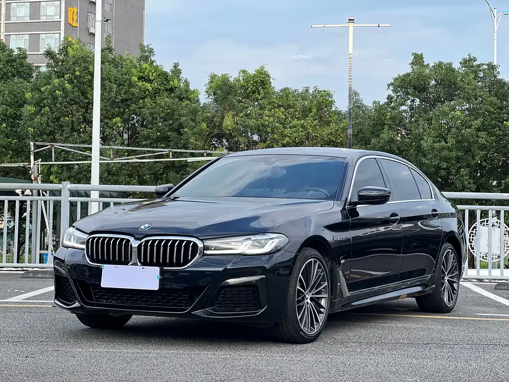 BMW 5 Series — миниатюра 2