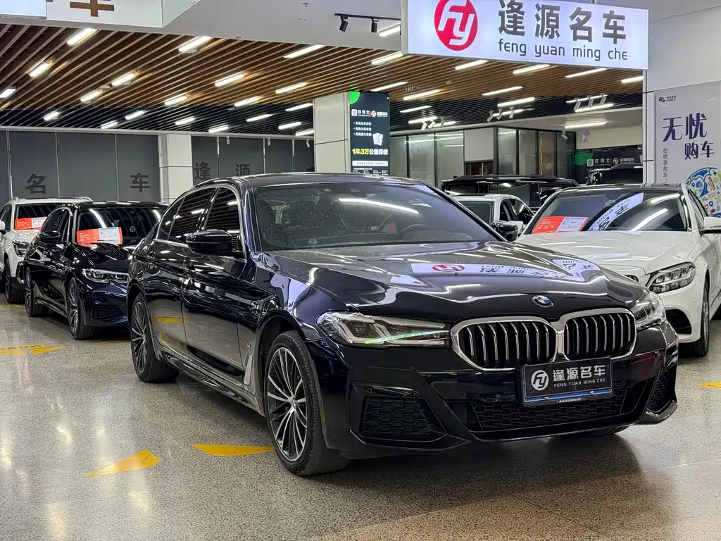 BMW 5 Series — миниатюра 3
