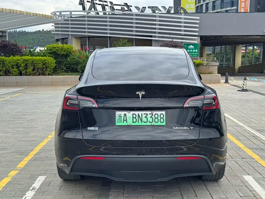 Tesla Model Y — фотографии объявления, Фото 21