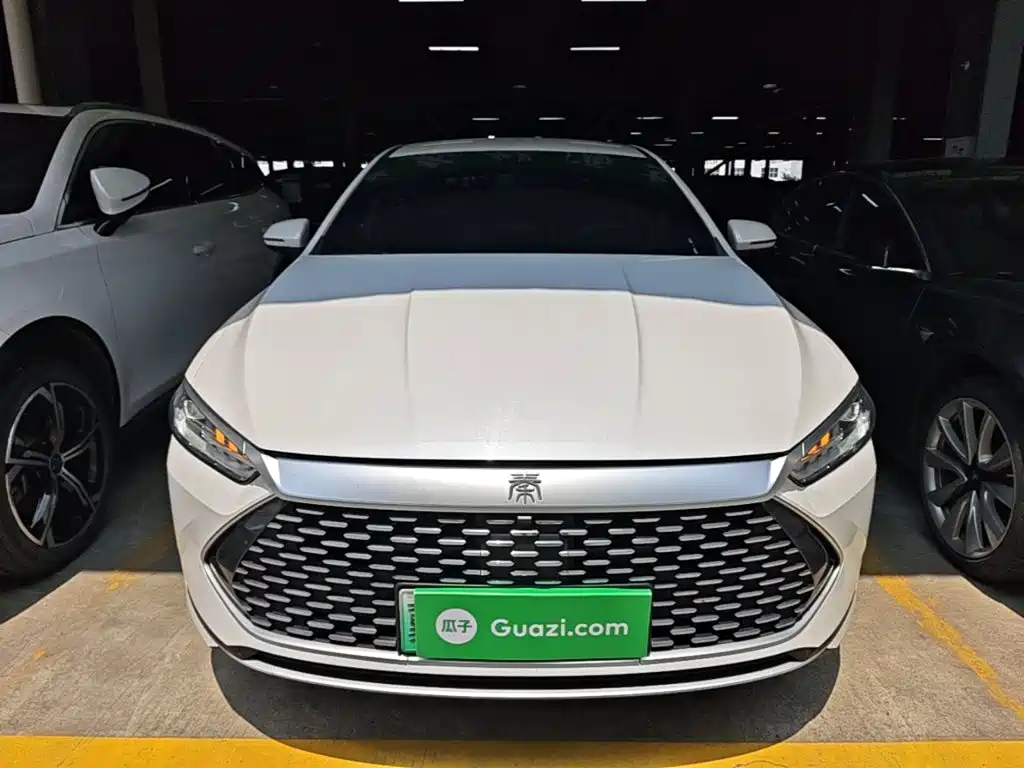 BYD Qin Plus PLUS 2023 Champion DM-i 55KM Lead