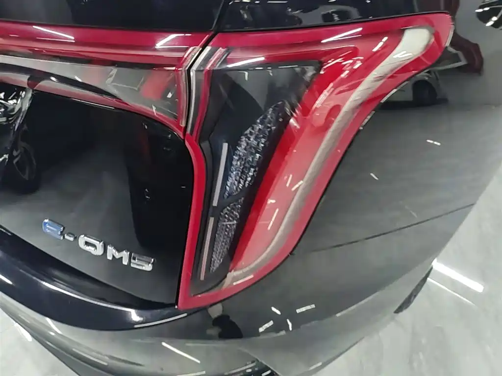 Hongqi Hongqi E-QM5 - фото 8