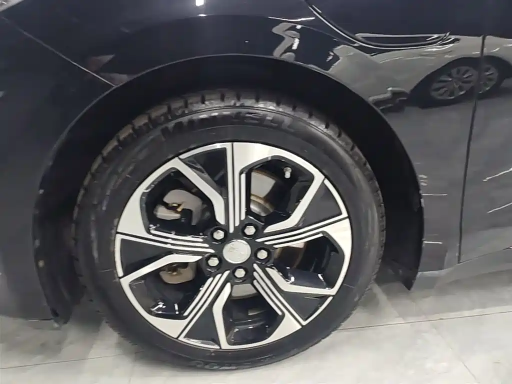 Hongqi Hongqi E-QM5 - фото 23