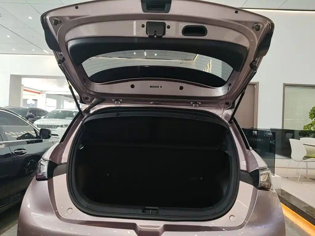 BYD Dolphin — миниатюра 19