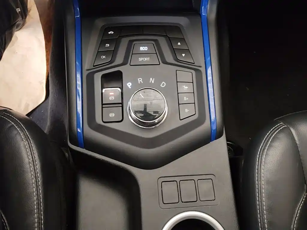 Dongfeng Rich 6 New Energy — миниатюра 14