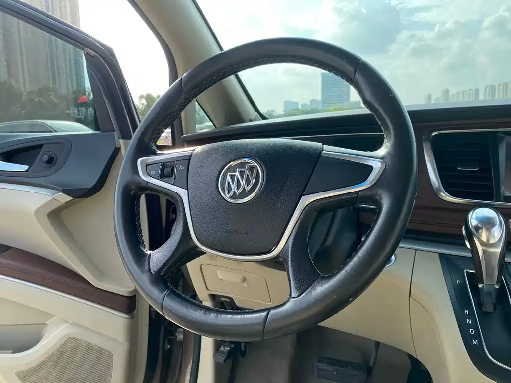 Buick GL8 — миниатюра 11