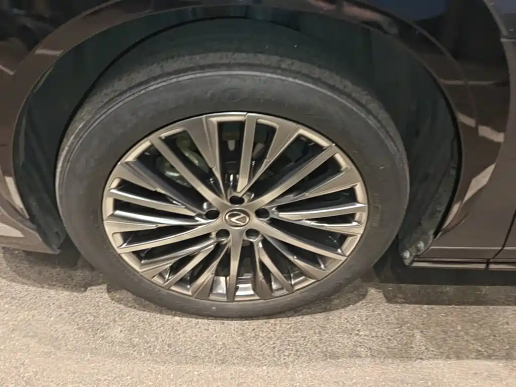 Lexus RZ — миниатюра 23