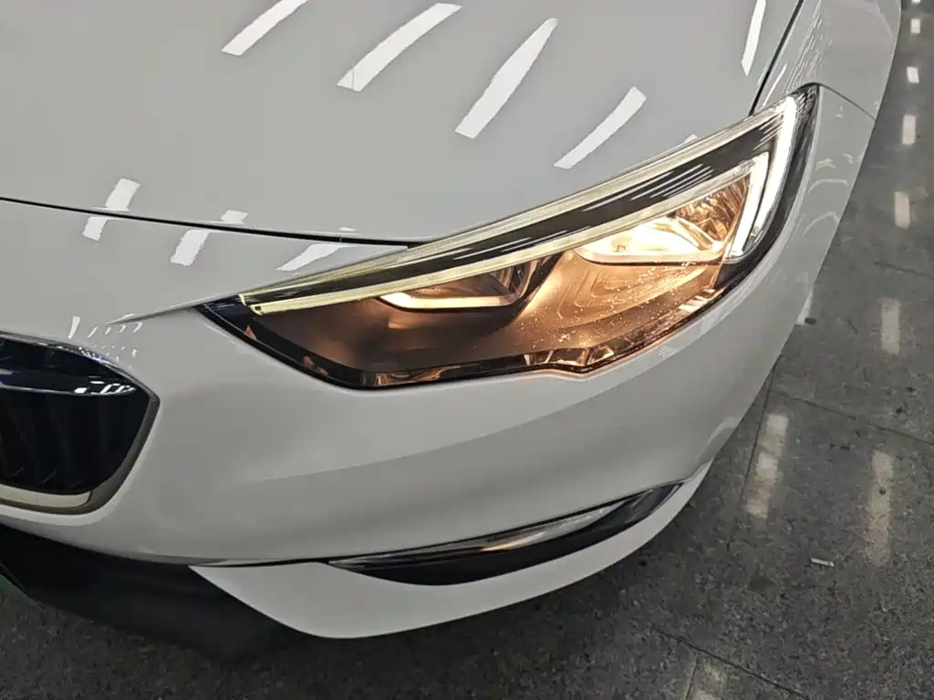 Buick Regal — миниатюра 24