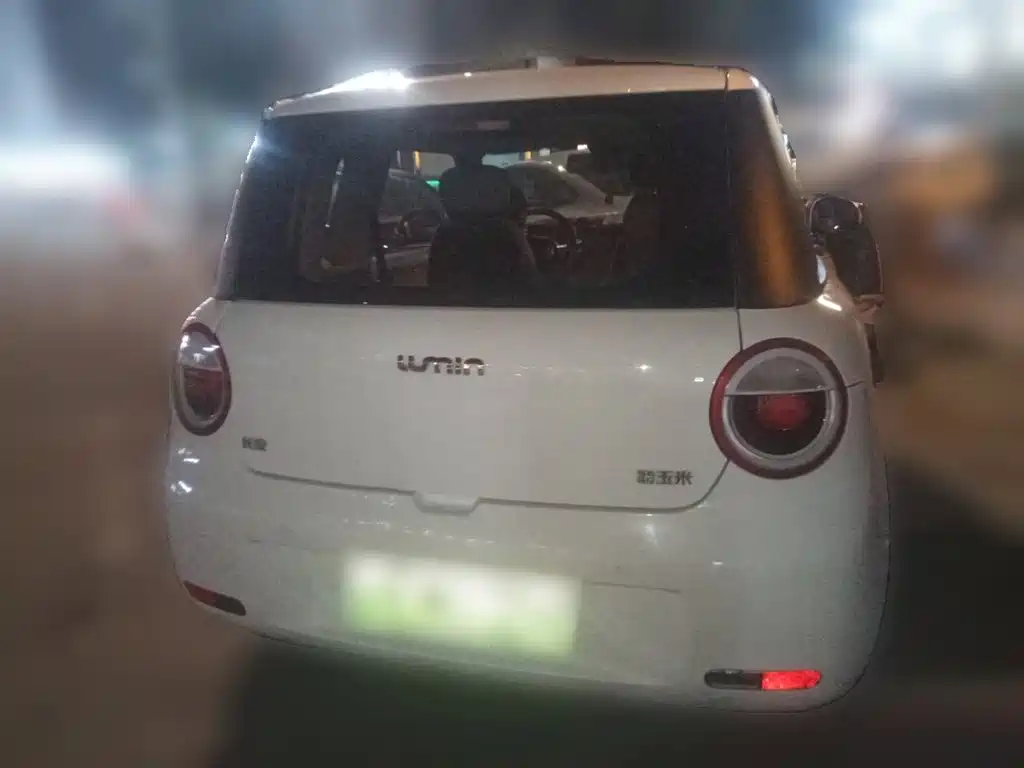 Qiyuan Lumin — миниатюра 5