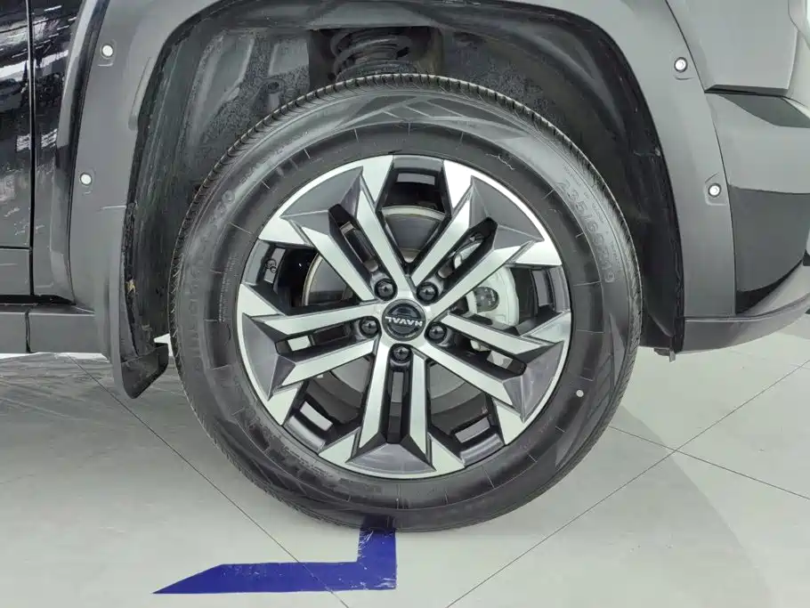 Haval Big Dog PLUS — миниатюра 6