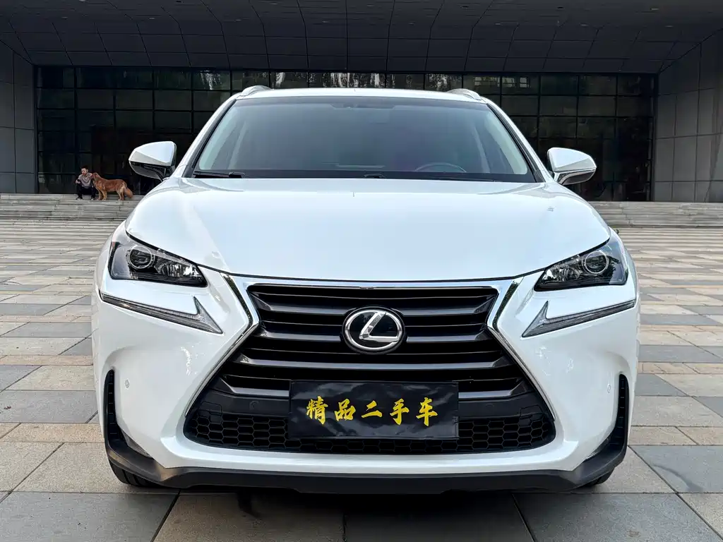 Lexus NX — миниатюра 2