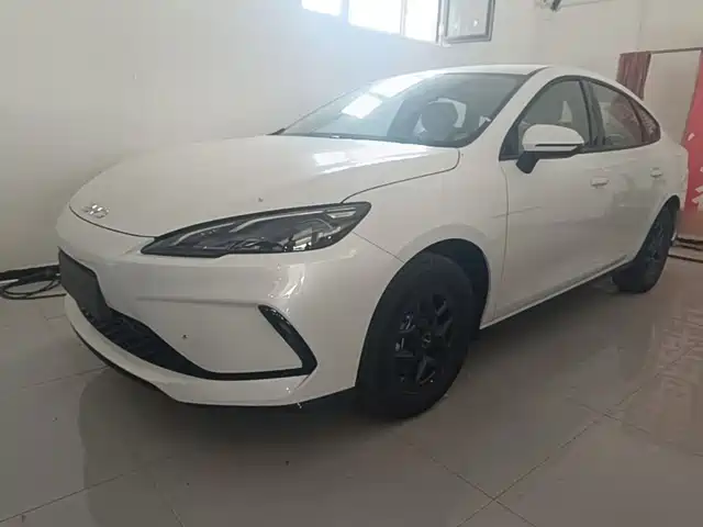 2026 BYD Sea Lion