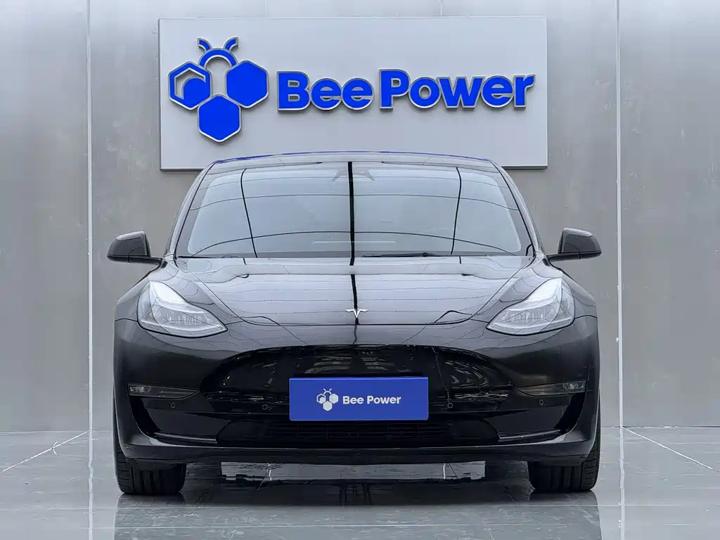 Tesla Model 3 2022 Performance