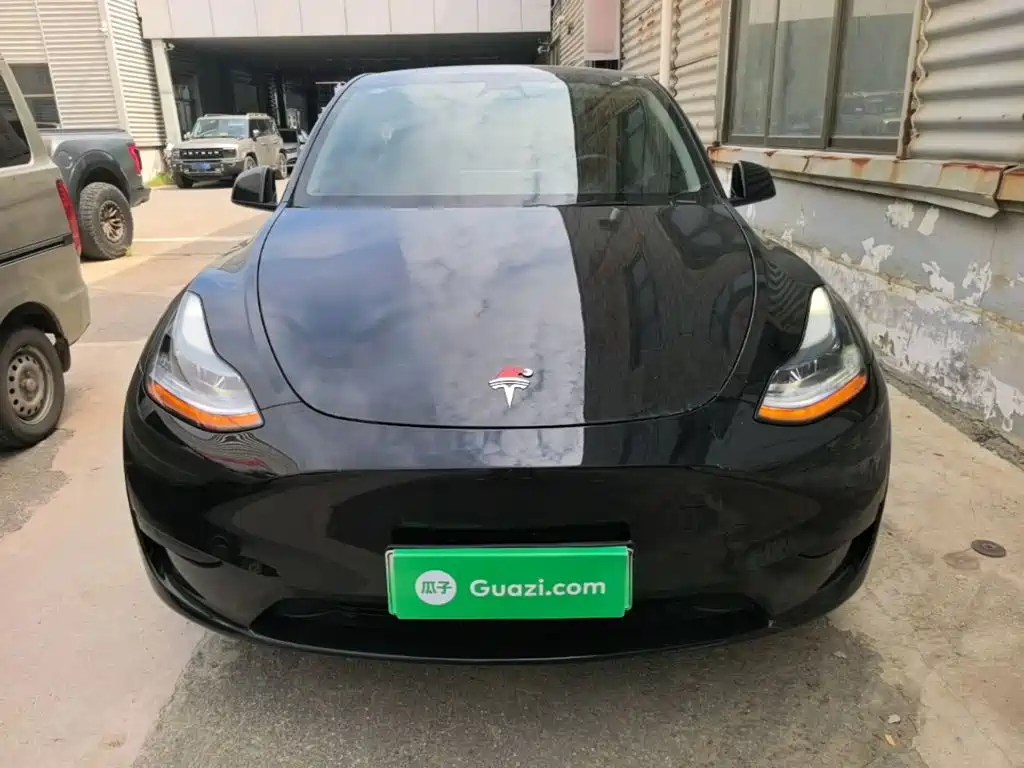 Tesla Model Y — миниатюра 3